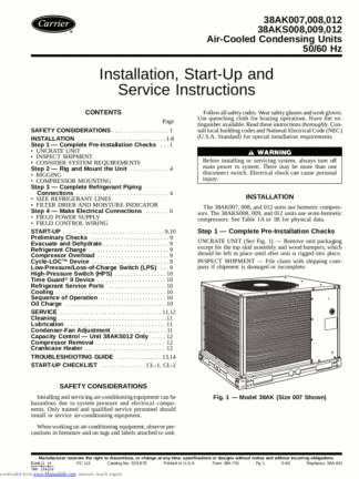 Carrier Air Conditioner Service Manual 38